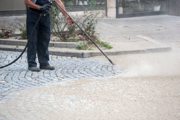 Best Building Exterior Washing  in Green Oaks, IL
